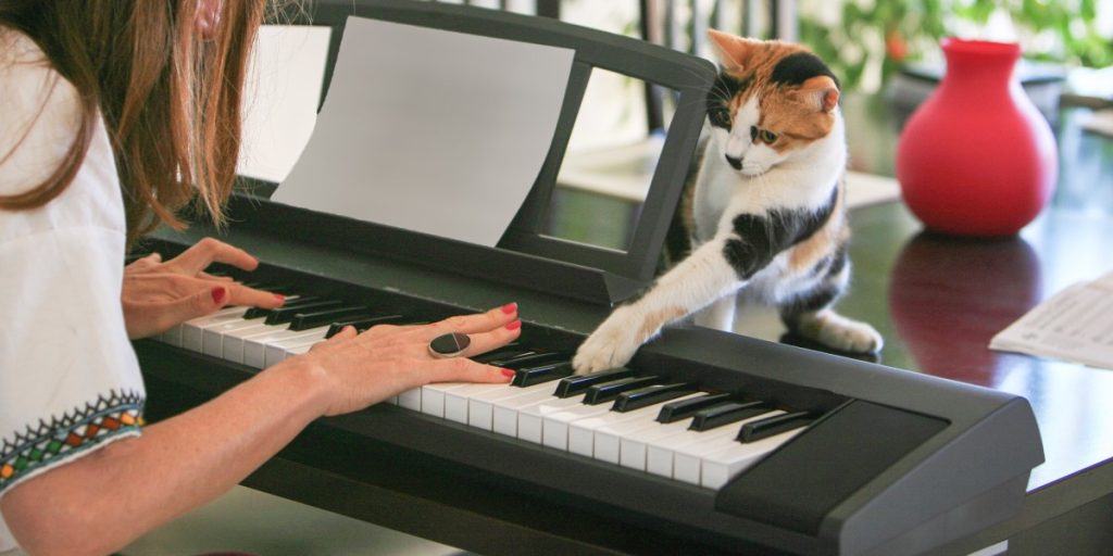 What’s the Difference Between Synths and Digital Pianos